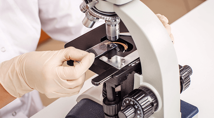veterinary larboratory microscope